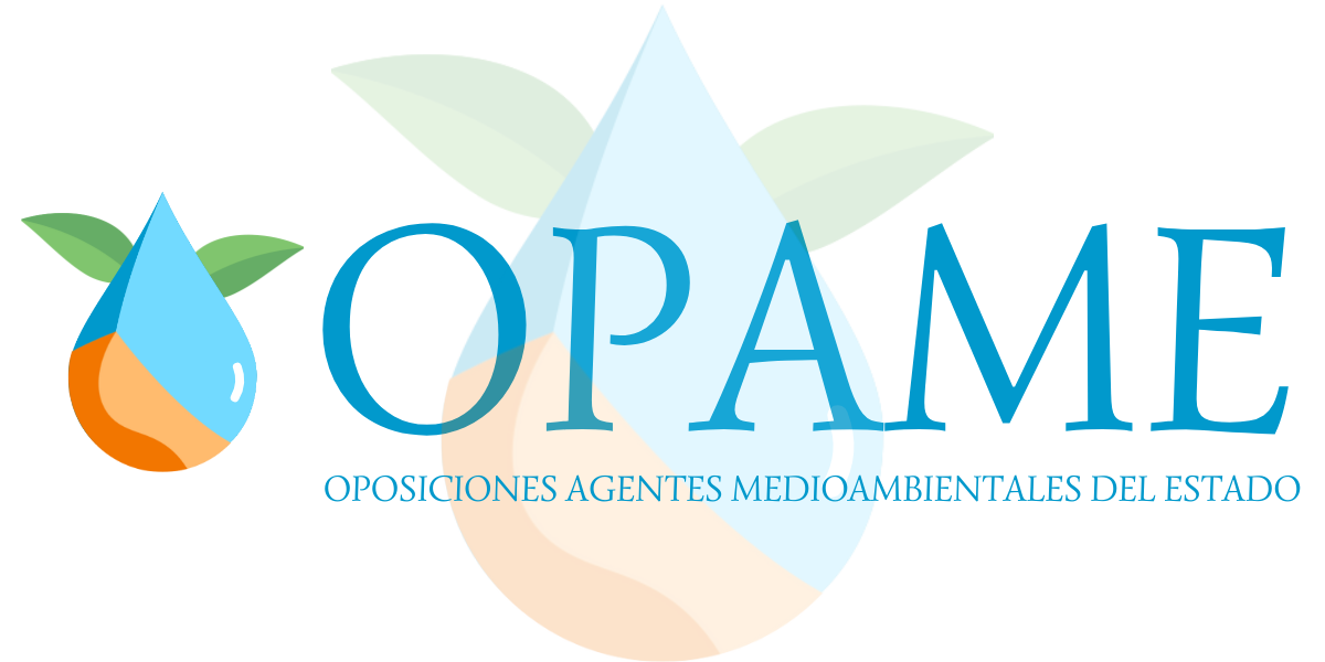 PRÁCTICO | BLOQUE DE COSTAS (Conv. 2025)